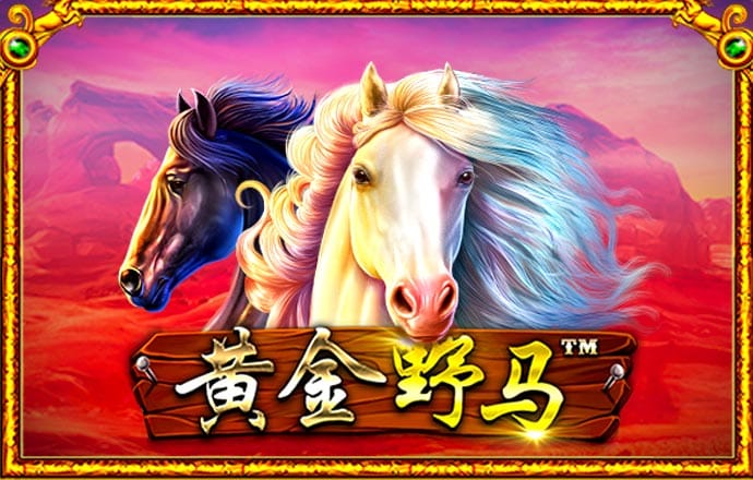 KS8805:COM-WWW:KS8805:COM